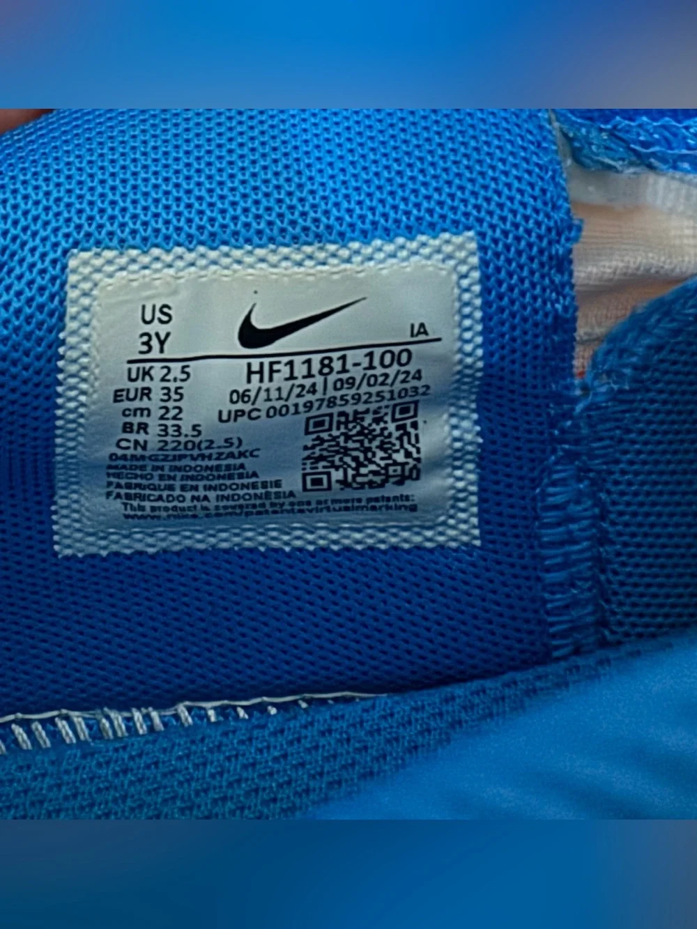 Kids Nike Giannis Blue and White basketball shoes